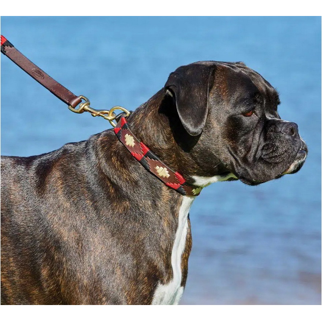 Weatherbeeta Polo Leather Dog Collar 10016990 - Brown Black Red White